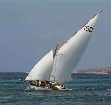 Pimpina Carloforte (Isola di San Pietro)