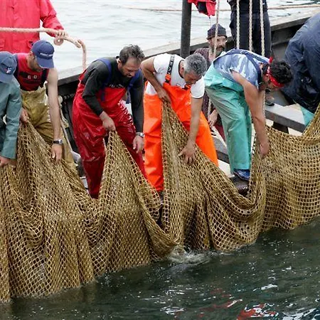 Pimpina Carloforte (Isola di San Pietro)