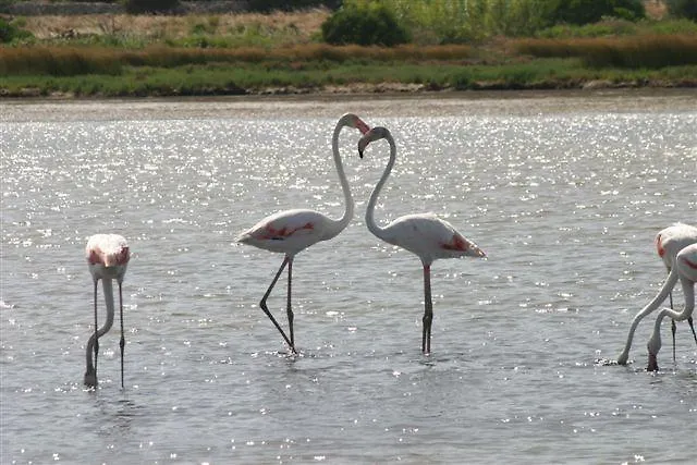 Pimpina Carloforte (Isola di San Pietro)